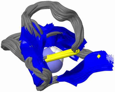 Image NMR Structure - all models