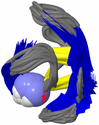 Image NMR Structure - all models