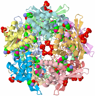 Image Asym./Biol. Unit