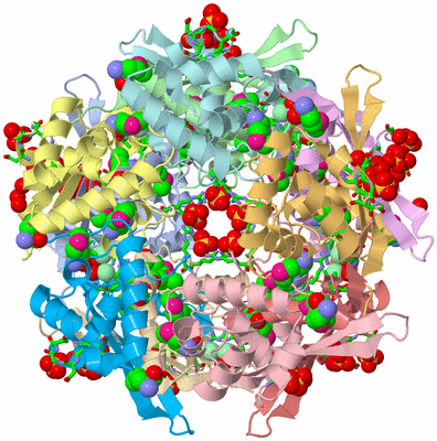 Image Asym./Biol. Unit - sites