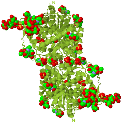 Image Biological Unit 1