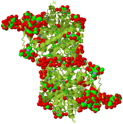 Image Biol. Unit 1 - sites