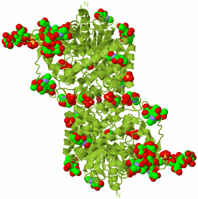 Image Biological Unit 1