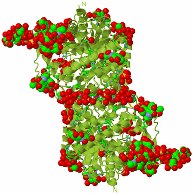 Image Biol. Unit 1 - sites