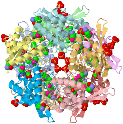 Image Asym./Biol. Unit