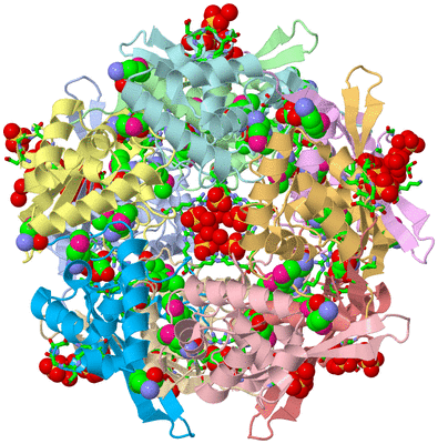 Image Asym./Biol. Unit - sites