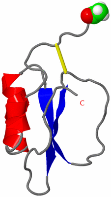 Image NMR Structure - model 1