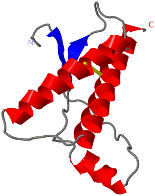 Image NMR Structure - model 1