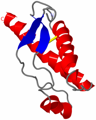 Image NMR Structure - model 1