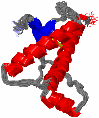 Image NMR Structure - all models