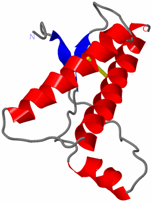 Image NMR Structure - model 1