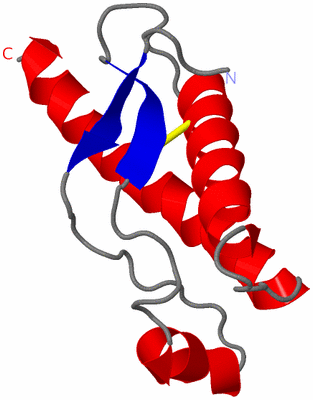 Image NMR Structure - model 1