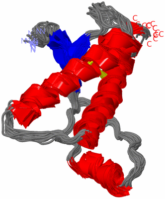 Image NMR Structure - all models