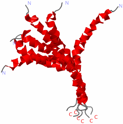 Image NMR Structure - all models