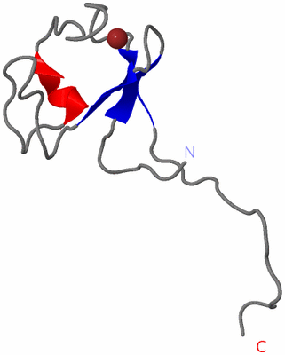 Image NMR Structure - model 1