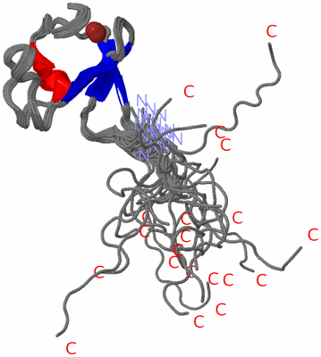 Image NMR Structure - all models