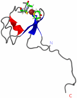 Image NMR Structure - model 1, sites