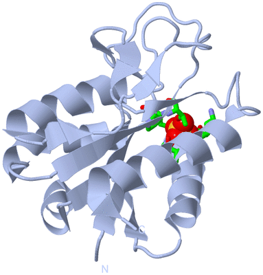 Image Biol. Unit 1 - sites