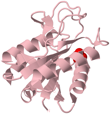 Image Biological Unit 3