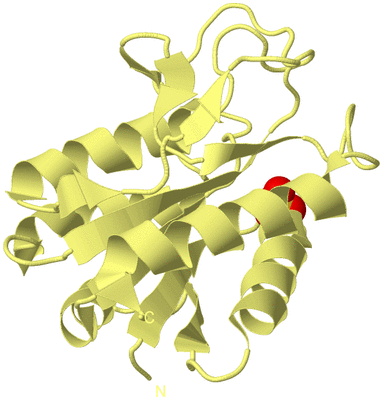 Image Biological Unit 4