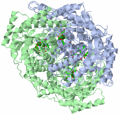 Image Biol. Unit 1 - sites