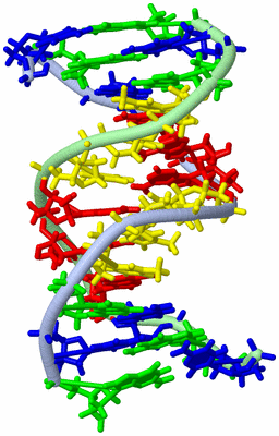 Image NMR Structure - model 1