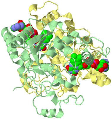 Image Biological Unit 1