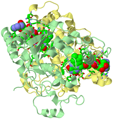 Image Biol. Unit 1 - sites