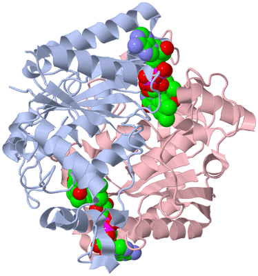 Image Biological Unit 2