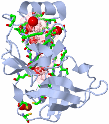 Image Biol. Unit 1 - sites