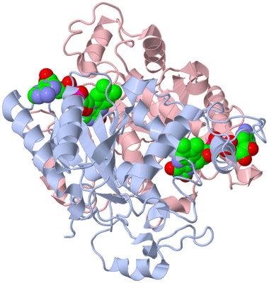 Image Biological Unit 1