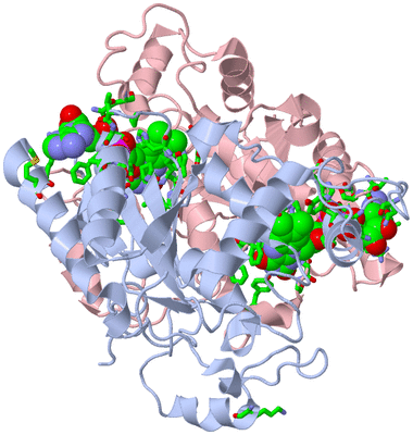 Image Biol. Unit 1 - sites