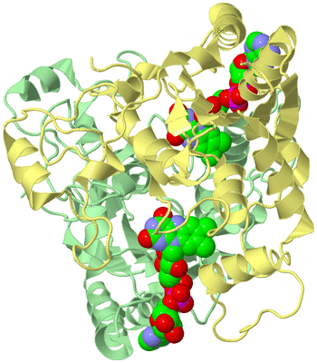 Image Biological Unit 2