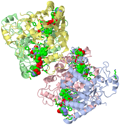 Image Asym. Unit - sites