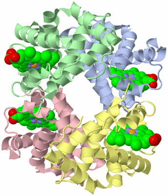 Image Asym./Biol. Unit