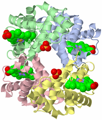 Image Asym./Biol. Unit