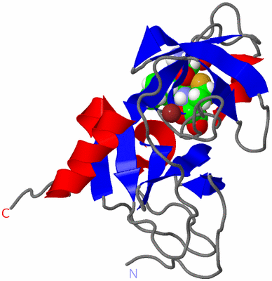 Image NMR Structure - model 1