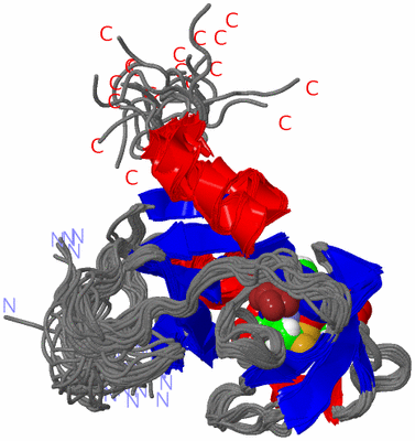 Image NMR Structure - all models