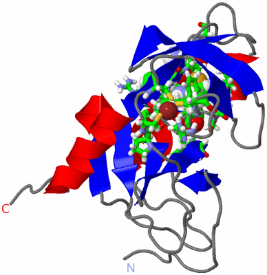 Image NMR Structure - model 1, sites