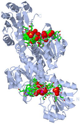 Image Biol. Unit 1 - sites