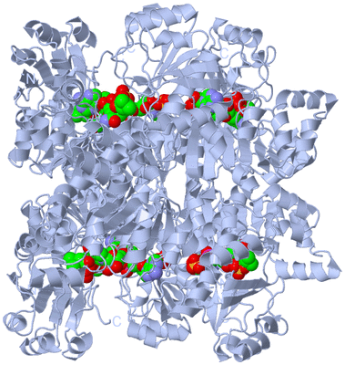 Image Biological Unit 2