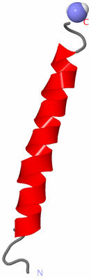 Image NMR Structure - model 1