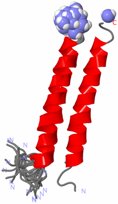 Image NMR Structure - all models