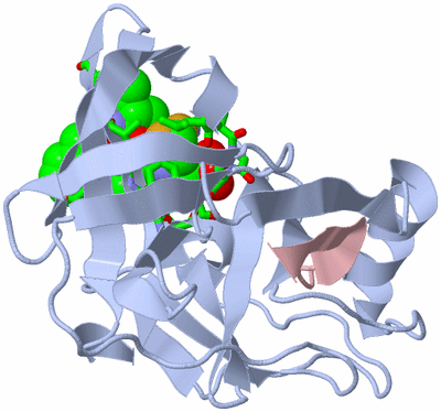 Image Biol. Unit 1 - sites