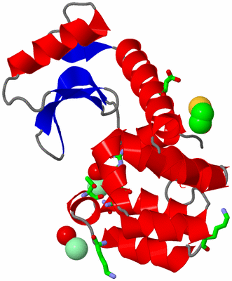 Image Asym./Biol. Unit - sites