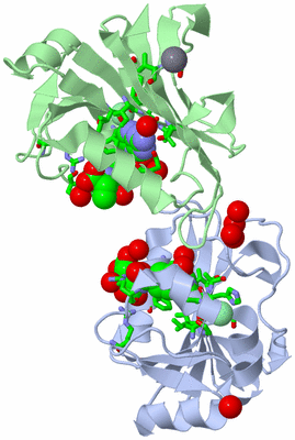 Image Asym./Biol. Unit - sites