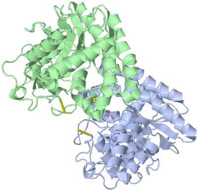 Image Asym./Biol. Unit