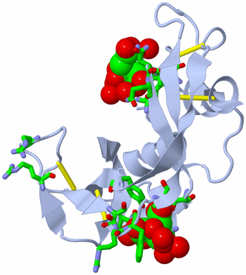 Image Biol. Unit 1 - sites