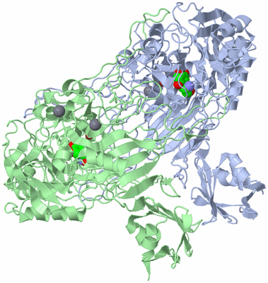 Image Asym./Biol. Unit