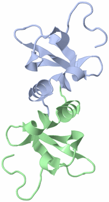 Image NMR Structure - model 1